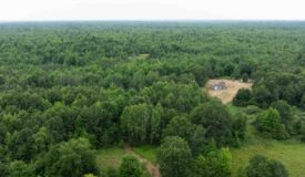 Juneau County WI 80 Acre Camp For Sale