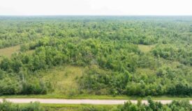 40+/- acres of recreational and hunting land in the Town of Finley, Juneau County