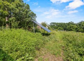 38_img_0075