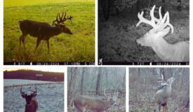 The Blue Mounds 32 — A Private Whitetail Hunting Retreat in Iowa County, Wisconsin
