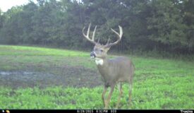 30-Acre Hunting & Camping Retreat with Food Plots, Well & RV Hookups | Adams County, Wisconsin
