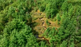 160+/- acres of Western Wisconsin hunting property Eau Claire Cty