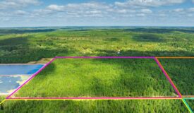 40± acres of timbered hunting and recreational land