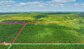 43± acre timbered tract off Horse Creek Road