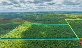 43 +/- Acres Augusta Wisconsin