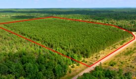 80± acres of heavily timbered recreational land featuring rolling terrain