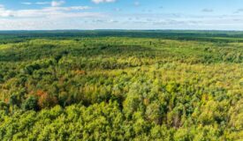 204.74± acres of premier recreational and hunting land in Eau Claire County