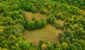 84± acres of heavily timbered recreational and hunting land in Eau Claire County