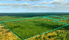 120± acres of heavily timbered hunting land in Eau Claire County