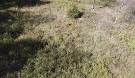 13-acre Genesee County property in Clio MI